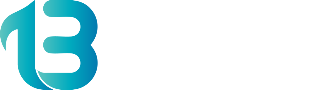 logo 13 nadi